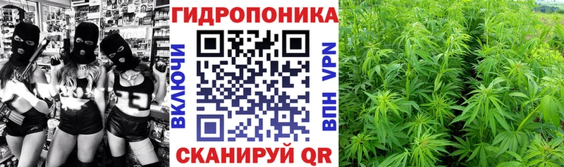 Купить закладку Верхняя Тура Alpha PVP  Меф  ГАШИШ  Бошки Шишки  Галлюциногенные грибы  Кокаин 