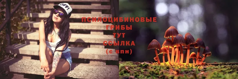 Псилоцибиновые грибы Psilocybe  МЕГА ССЫЛКА  Верхняя Тура  купить наркотик 